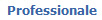  Professionale