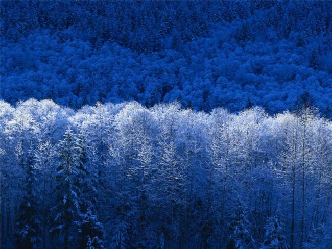 Inverno Inverno