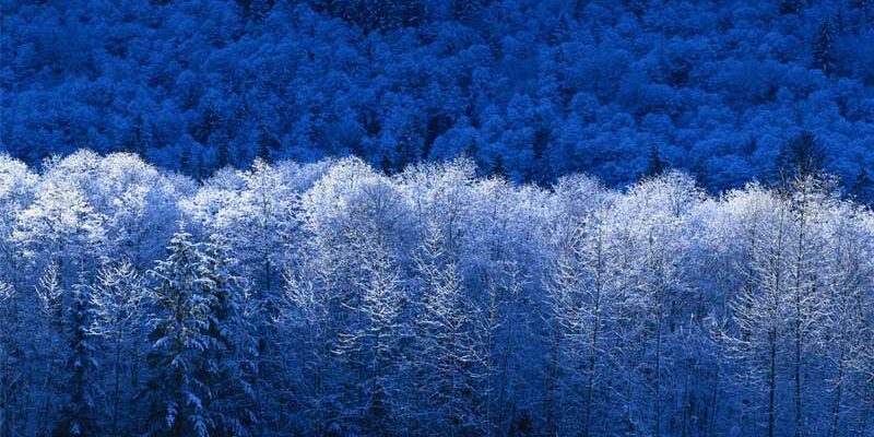 Inverno Inverno