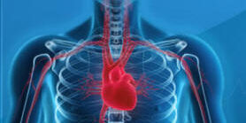 CARDIOPREVENZIONE CARDIOPREVENZIONE