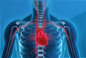 CARDIOPREVENZIONE CARDIOPREVENZIONE