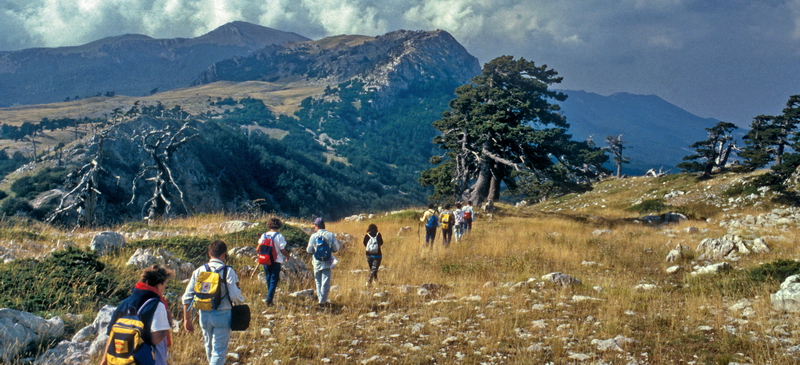 TREKKING