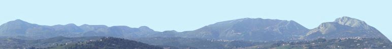 cai2