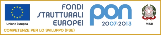 Pon_Logo_FSE_2