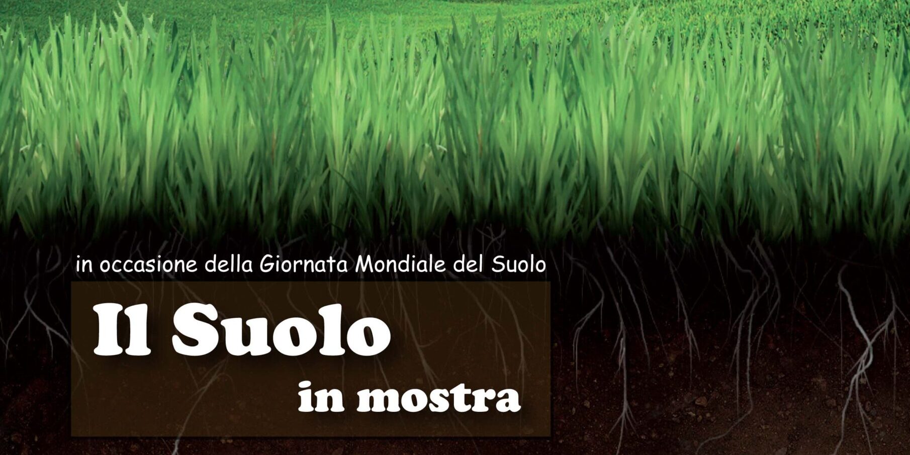 telesia – brochure6 Il SUOLO in mostra leaflet scaled
