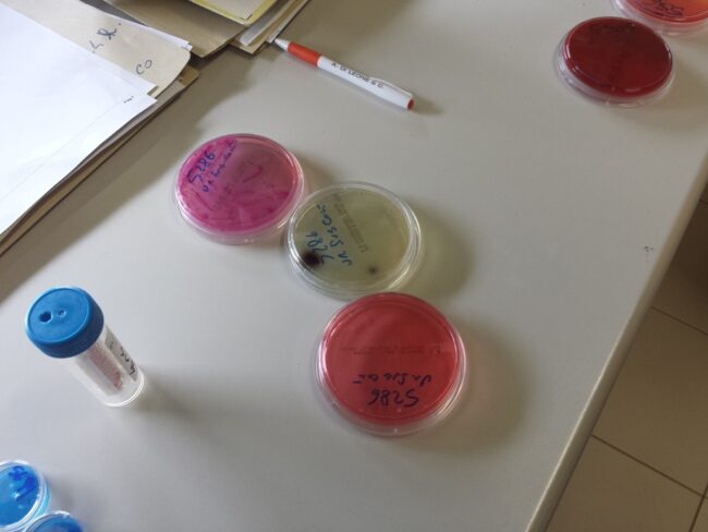 5 Scienze Applicate: l’ospedale diventa aula