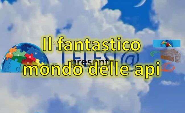 Mondo api Mondo api