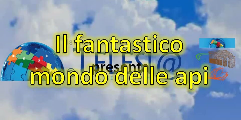 Mondo api Mondo api