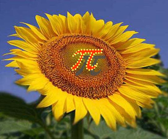 IL GIRASOLE logo IL GIRASOLE logo