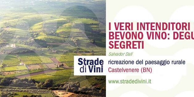 strade di vini4 strade di vini