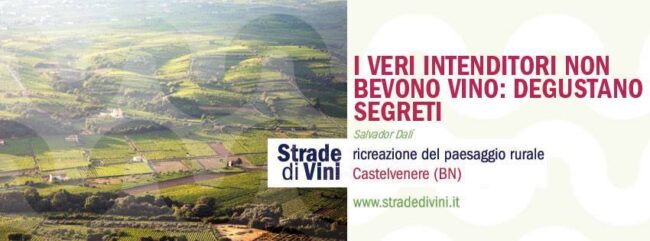 strade di vini4 strade di vini