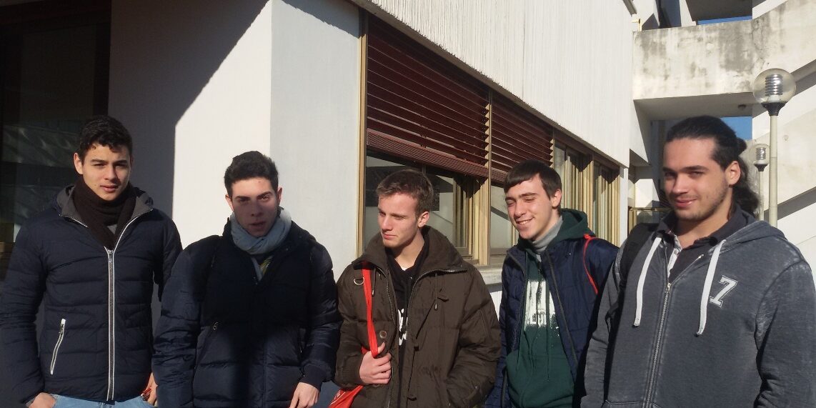 olifis3 olifis