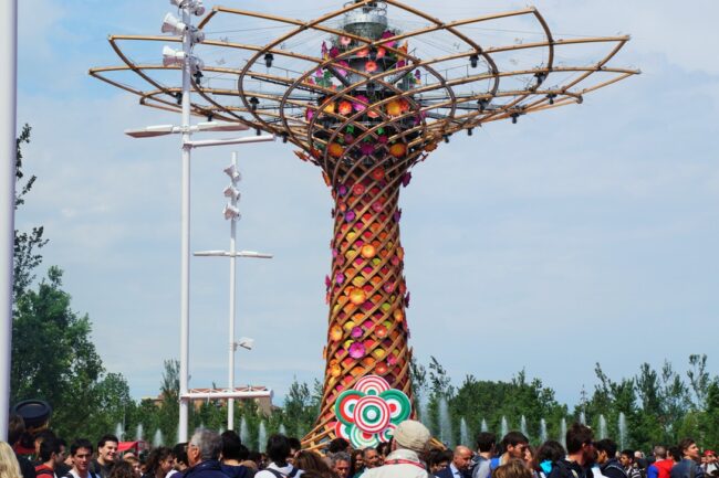 EXPO0 EXPO