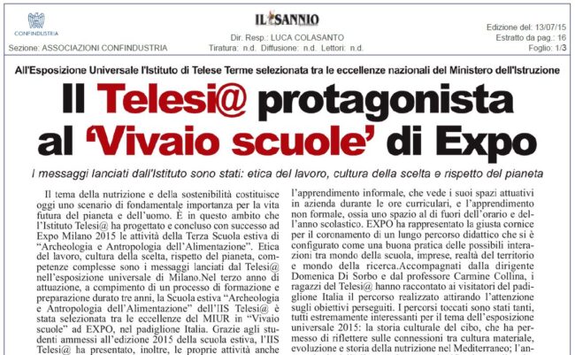 VIVAIO 13-07-15 VIVAIO