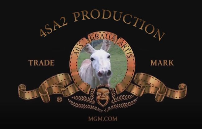 mgm