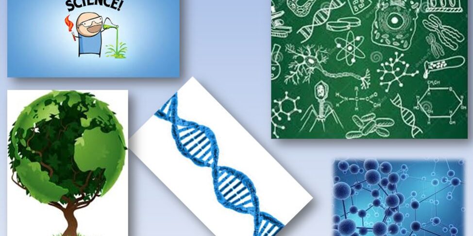 bio