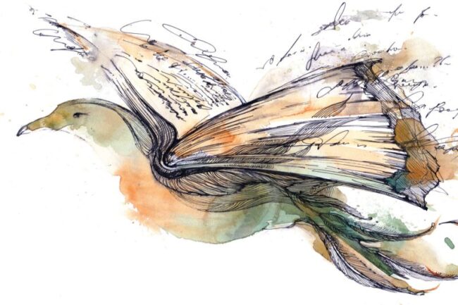 Libri– Libri