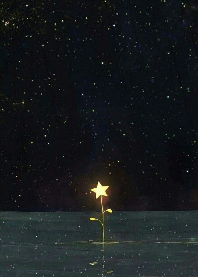 Immagine per l’articolo Immagine per larticolo
