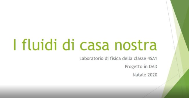 fluidi fluidi