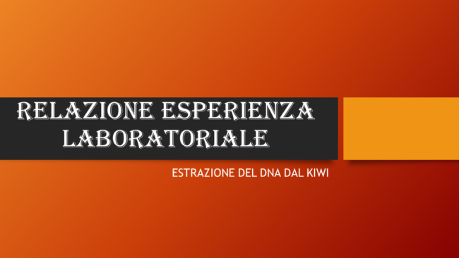 RELAZIONE_ESPERIMENTO3s1 DNA