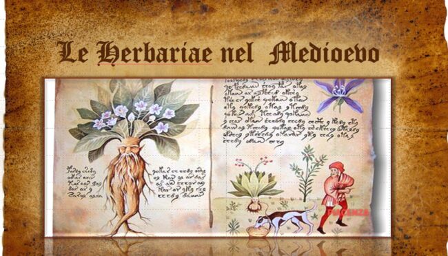herbariae1